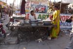 05 Jaipur  Jodpur Mix (123)